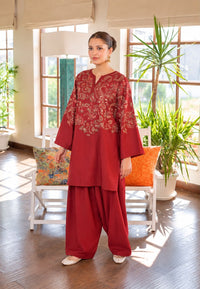 Dhanak Embriderd 2 piece